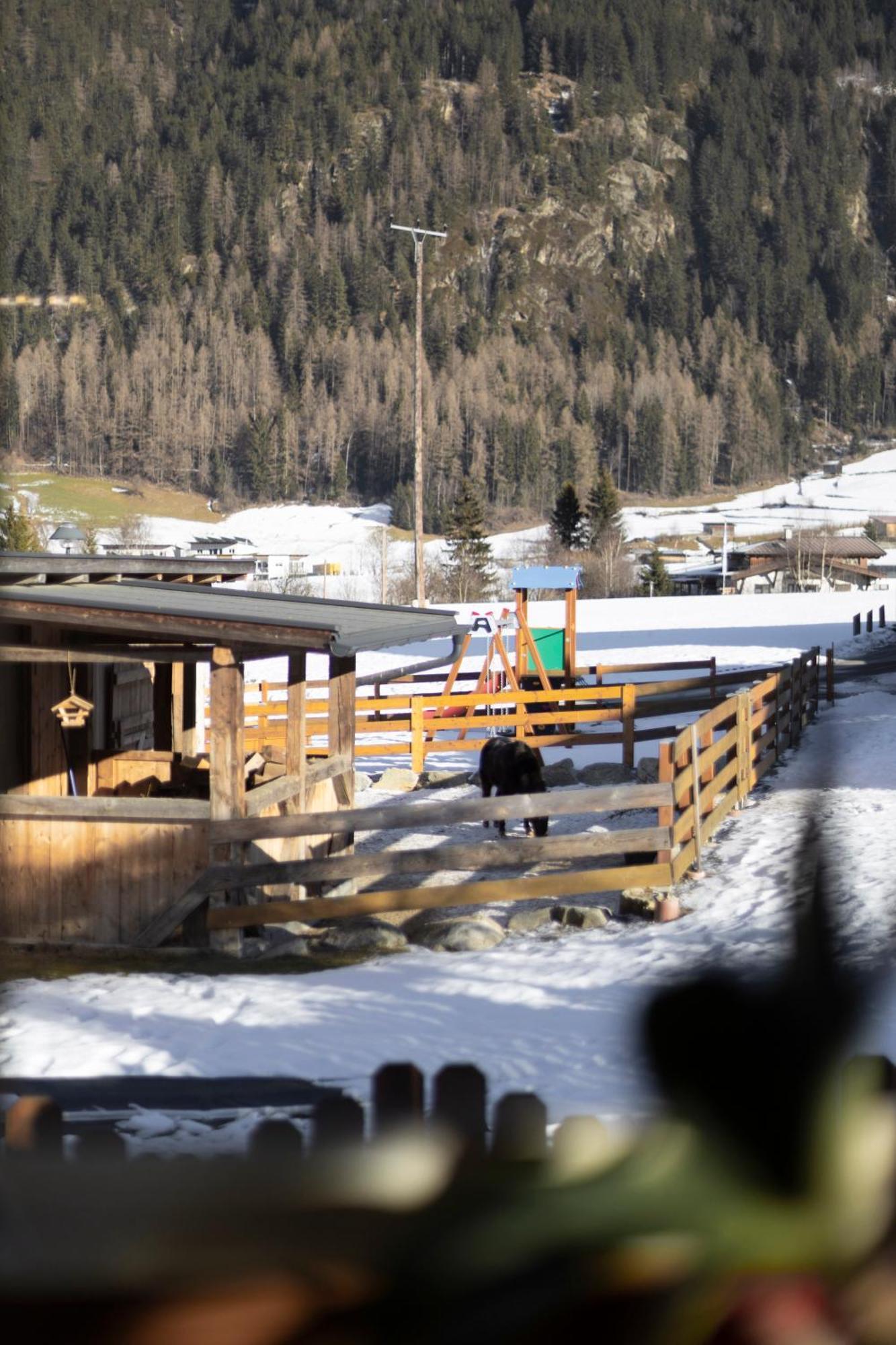 Ferienhaus Tirol Im Oetztal 厄姆豪森 外观 照片