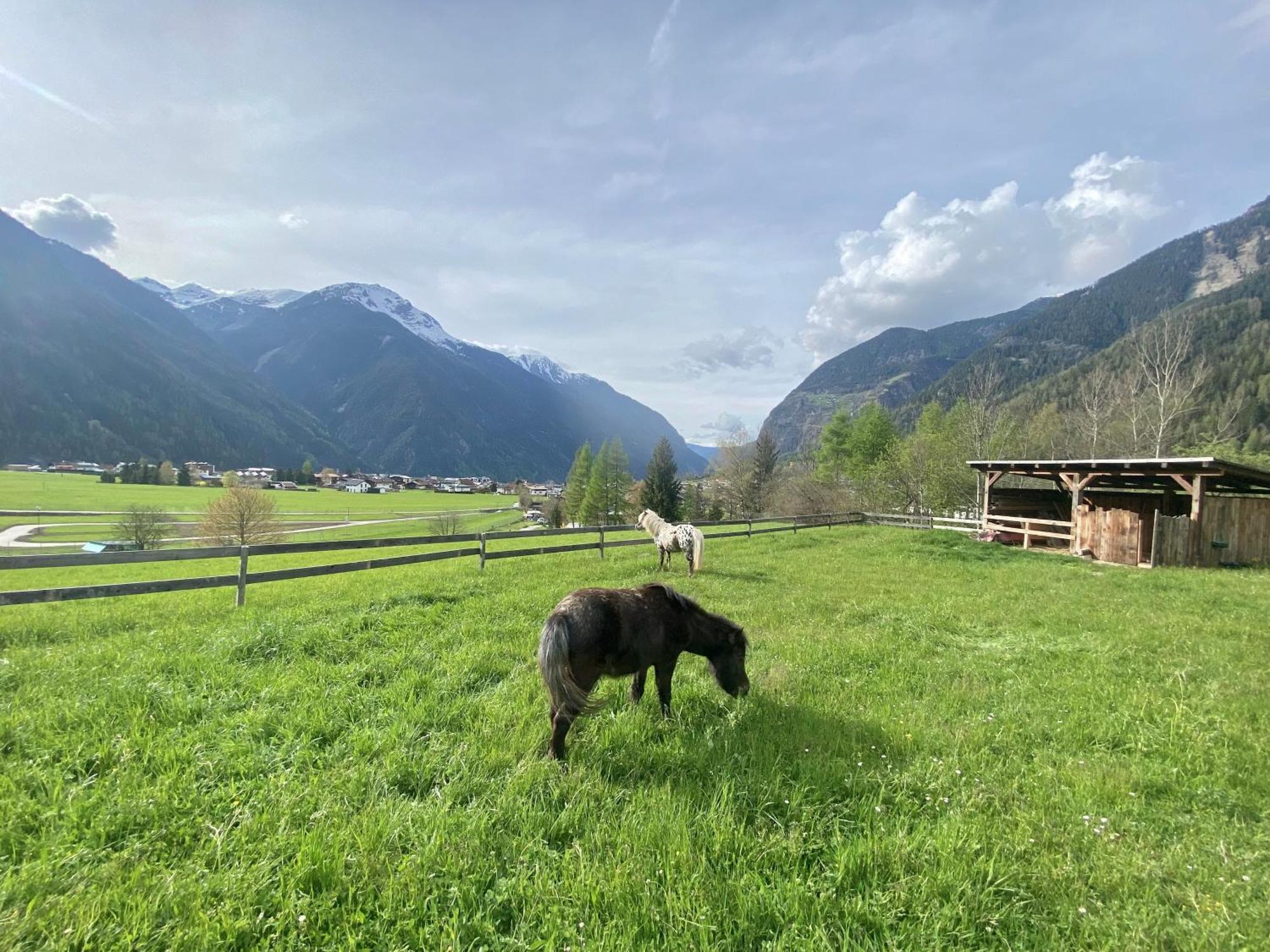 Ferienhaus Tirol Im Oetztal 厄姆豪森 外观 照片
