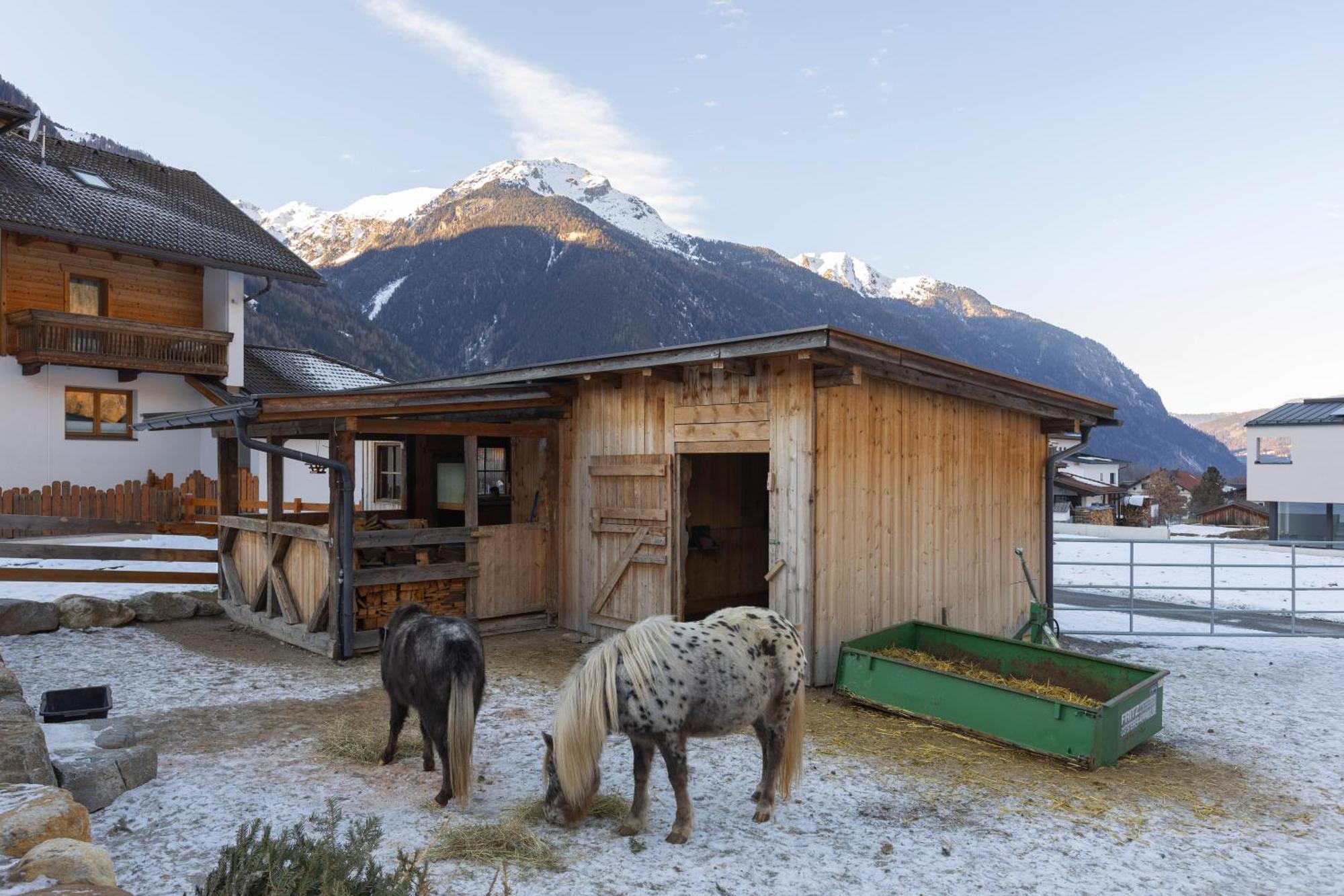 Ferienhaus Tirol Im Oetztal 厄姆豪森 外观 照片